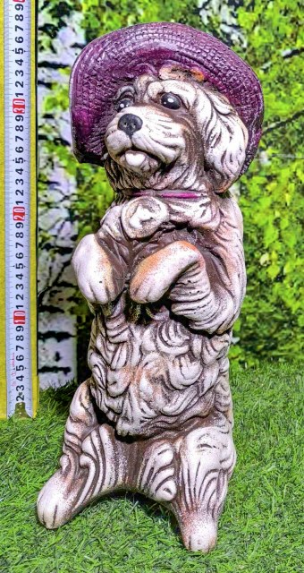 собака в шляпе